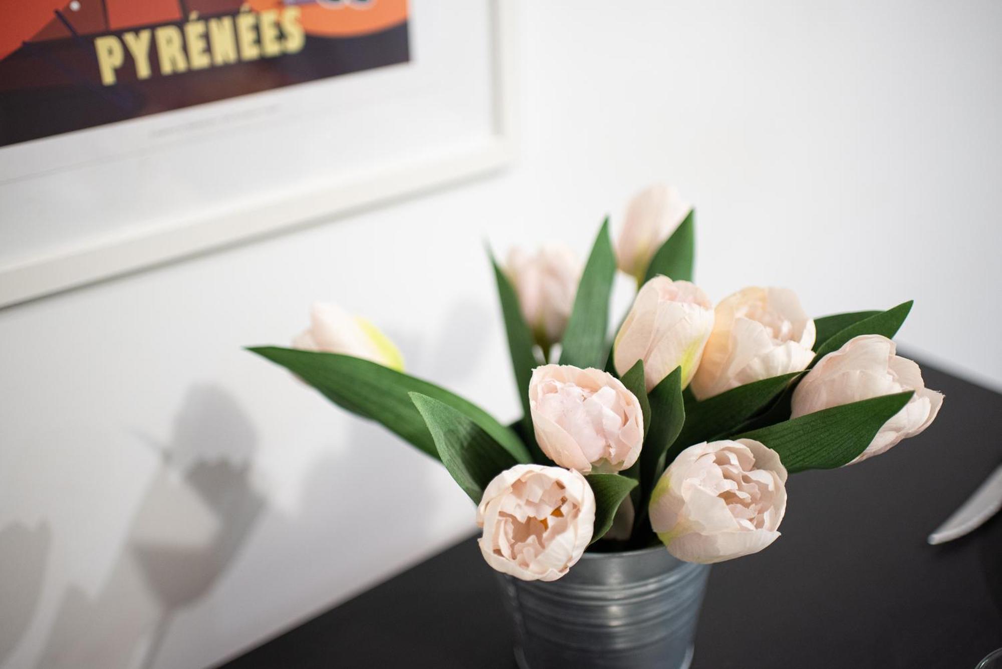 Studio Cosy Toulouse Centre ภายนอก รูปภาพ